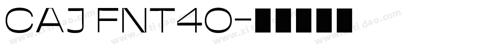 CAJ FNT40字体转换